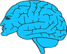 Floating brain
