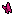 pink butterfly
